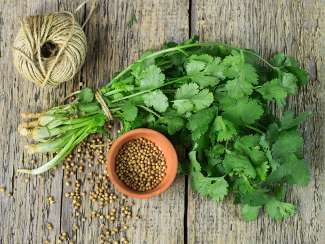 Bunch of cilantro.