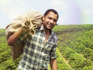 Coffee farm worker