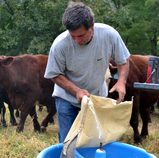 Rich, pouring out a bag of essential minerals for his cows.