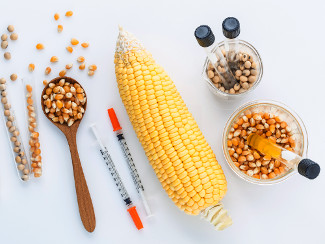 Grains with laboratory equipment.